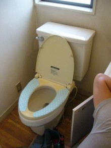 サティスとピアラに交換 サティスとピアラに交換